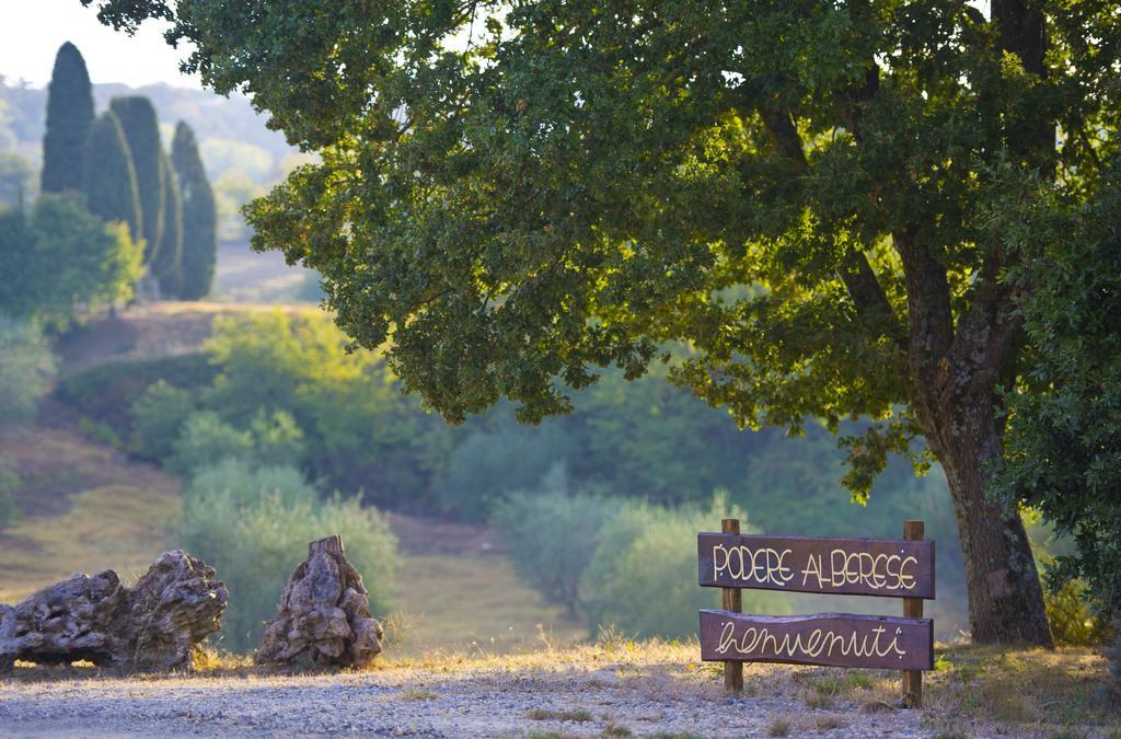 Agriturismo Podere Alberese Guest House Asciano Exterior photo